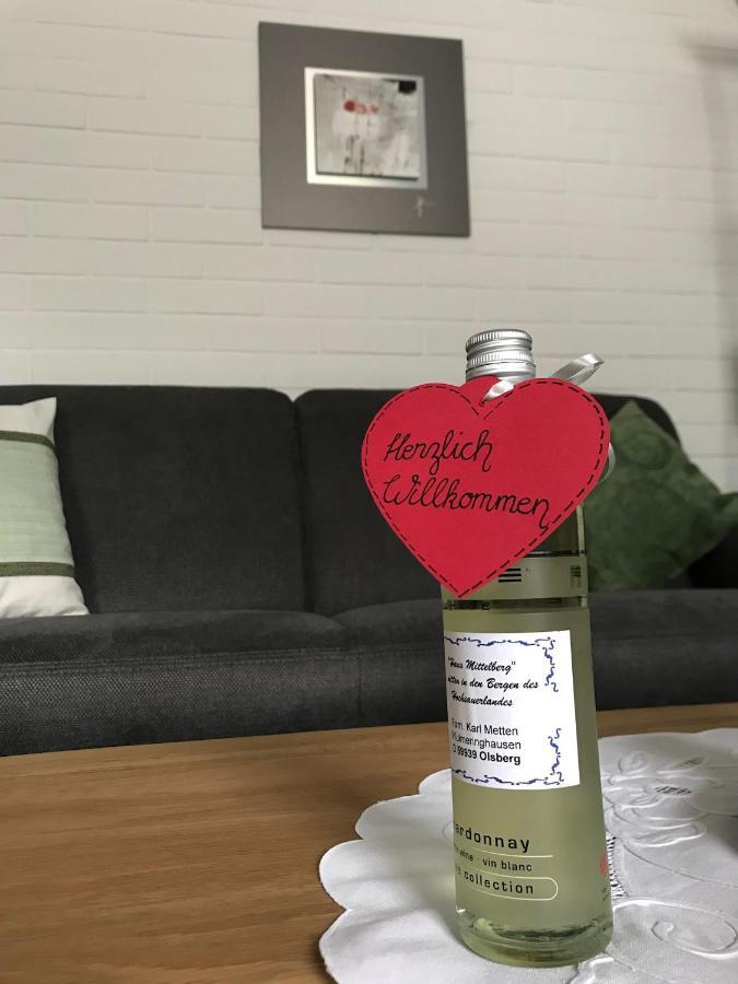 Haus Mittelberg Apartman Olsberg Kültér fotó