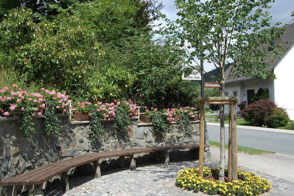 Haus Mittelberg Apartman Olsberg Kültér fotó