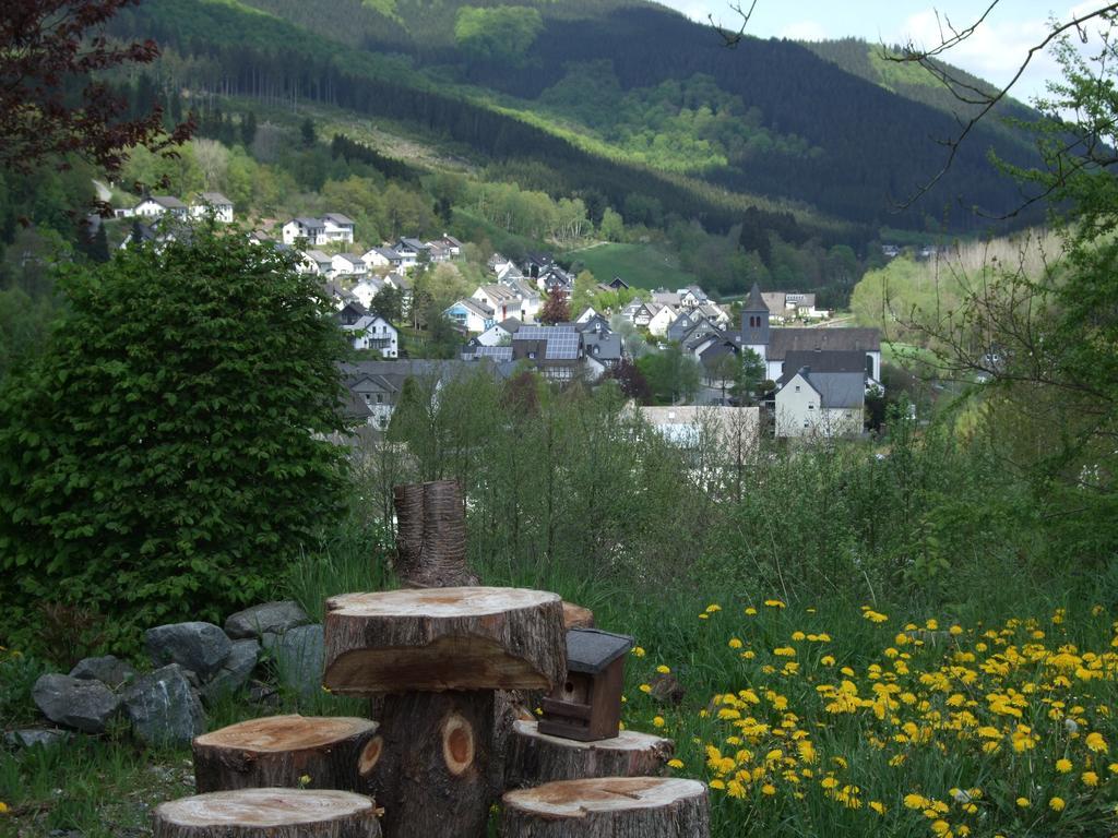 Haus Mittelberg Apartman Olsberg Szoba fotó