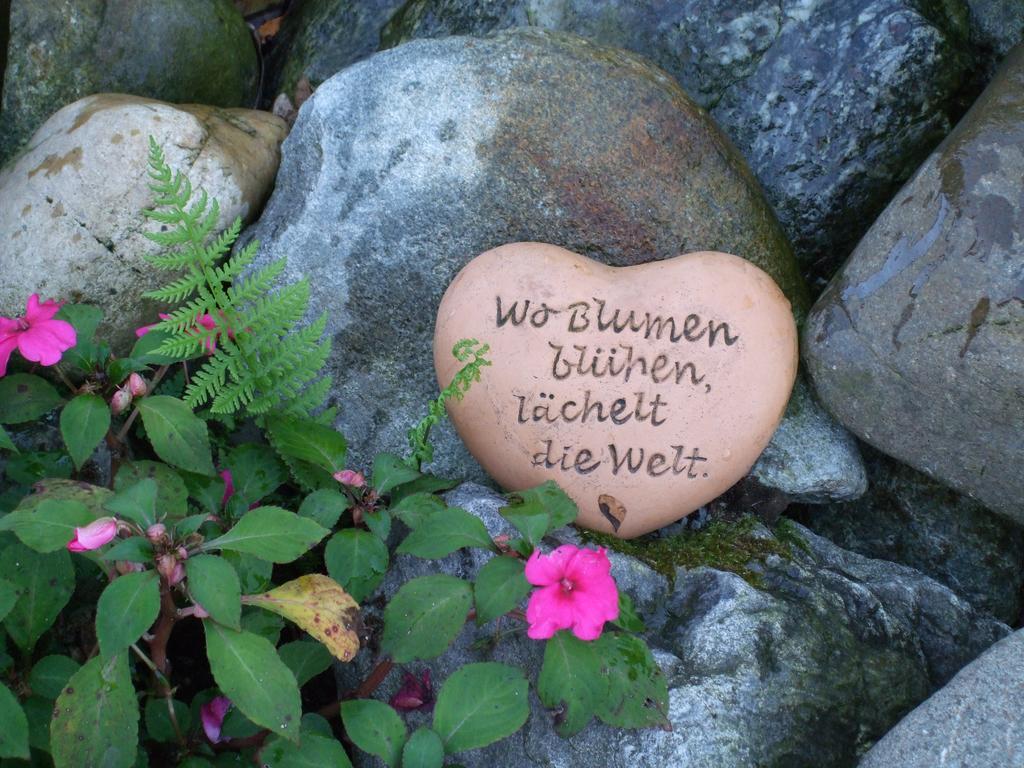 Haus Mittelberg Apartman Olsberg Kültér fotó