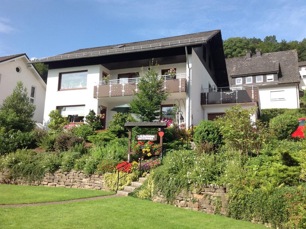 Haus Mittelberg Apartman Olsberg Kültér fotó