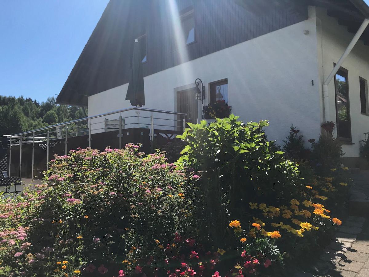 Haus Mittelberg Apartman Olsberg Kültér fotó
